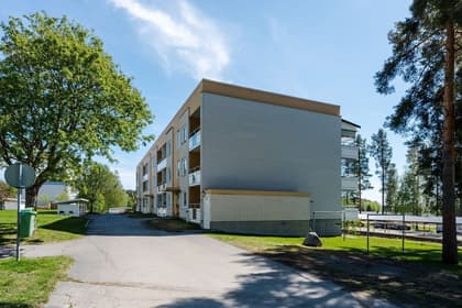 Bild av närområdet