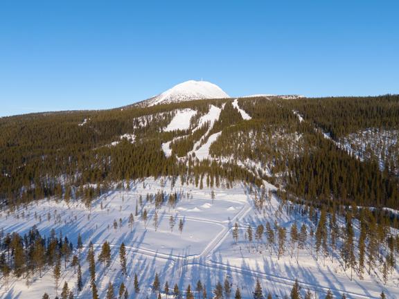 Lovsångsslingan 2, Härjedalen