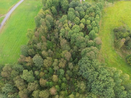 Hylte Unnaryd 1:153, Unnaryd