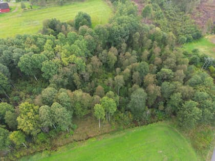 Illustrerad karta över fastigheten eller området