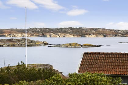 Bild av närområdet