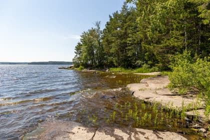 Bild av närområdet