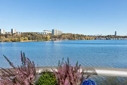 Bild av närområdet