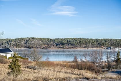 Bild av närområdet