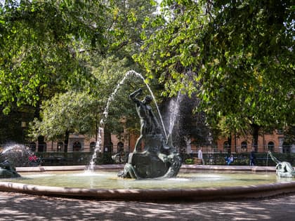 Bild av närområdet