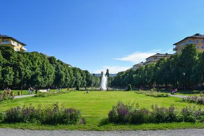 Bild av närområdet