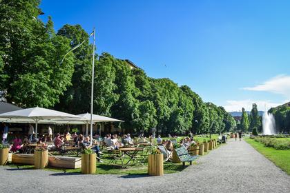 Bild av närområdet