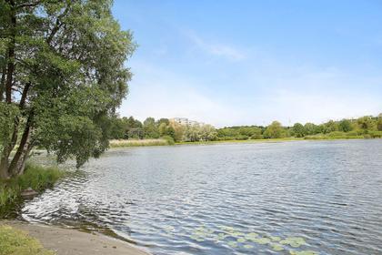 Bild av närområdet