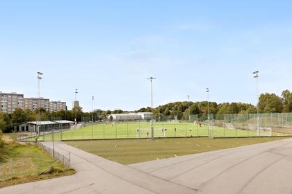 Bild av närområdet