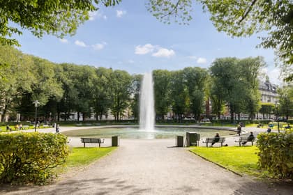 Bild av närområdet