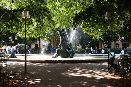 Bild av närområdet