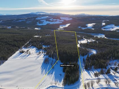 Bild av närområdet