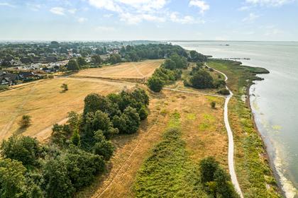 Bild av närområdet