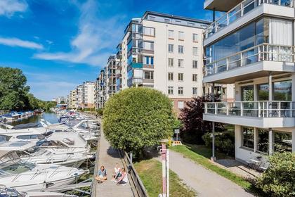 Bild av närområdet