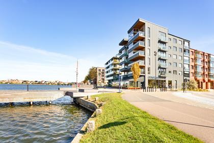 Bild av närområdet