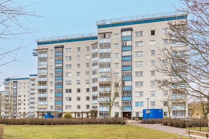 Karolingatan 14, Vita Höja