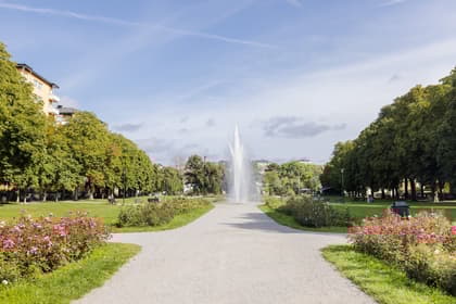 Bild av närområdet