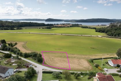 Bild av närområdet