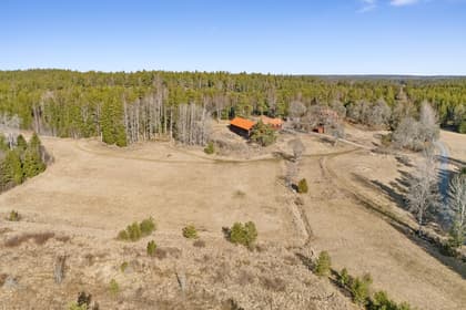 Bild av närområdet