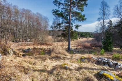 Mariedalsvägen 9B, Mariedal