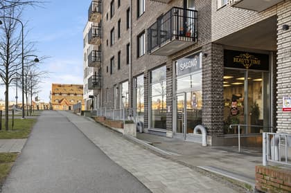 Bild av närområdet