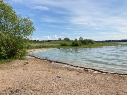 Bild av närområdet