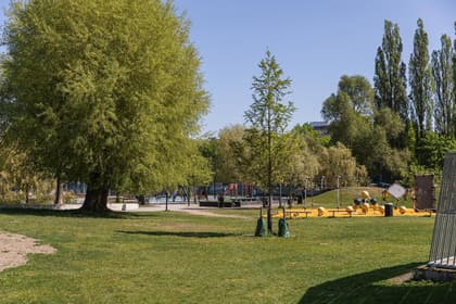 Bild av närområdet