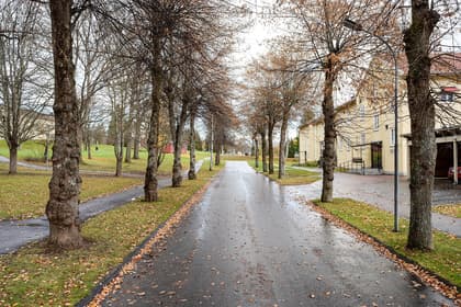 Bild av närområdet