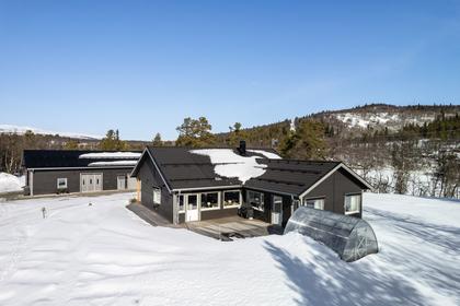 Bild av närområdet