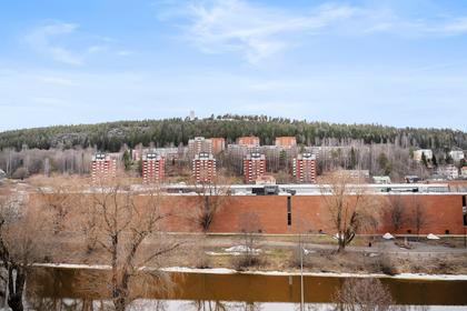 Bild av närområdet