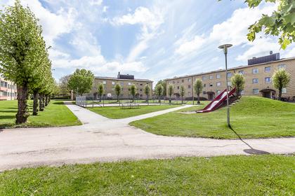 Bild av närområdet