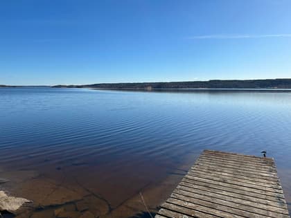 Bild av närområdet