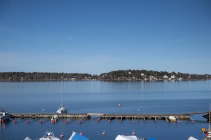 Bild av närområdet