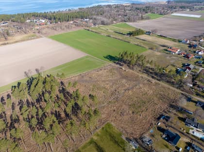 Bild av närområdet