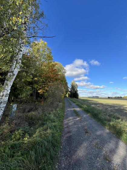 Bild av närområdet