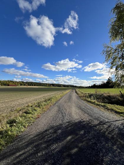 Bild av närområdet