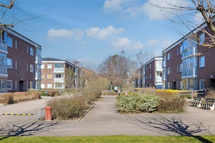 Bild av närområdet