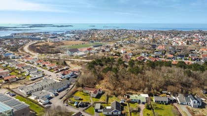 Bild av närområdet