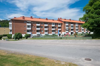 Bild av närområdet