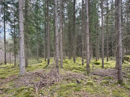 Hökön 1194, Killeberg