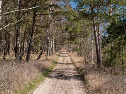 Bild av närområdet