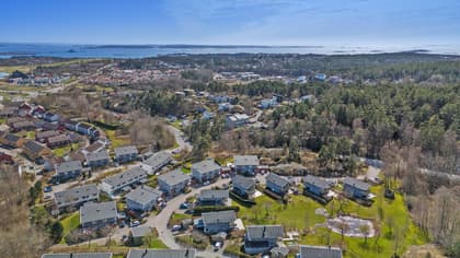 Bild av närområdet