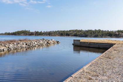 Bild av närområdet