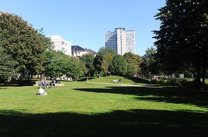 Bild av trädgården