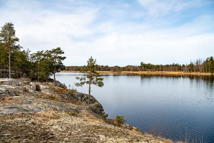 Bild av närområdet