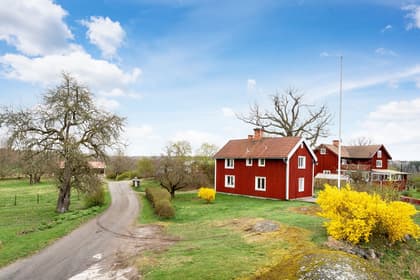 Bild av närområdet