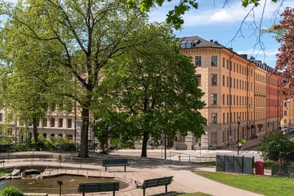 Bild av närområdet