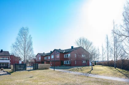 Bild av närområdet