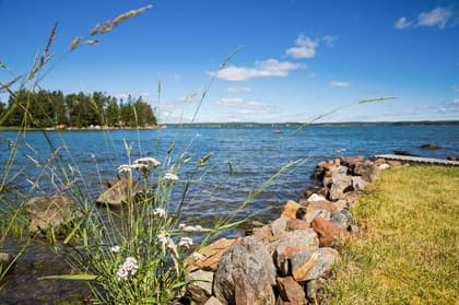 Bild av närområdet