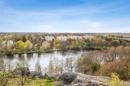 Bild av närområdet